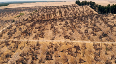 Pray.com Supports Family Farms Hit by Historic Droughts