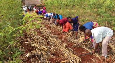 Zimbabwean Nonprofit Promotes ‘God’s Way’ of Farming