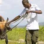 MINISTRY SPOTLIGHT: Heifer Project International