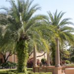 Southeastern Executive Sentenced to 15 Months for Bilking University