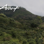 Ministry Spotlight: Avant Ministries