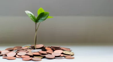 As Donor-Advised Funds Grow, so Does Philanthropic Advising
