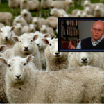 Why are Christians So Gullible?